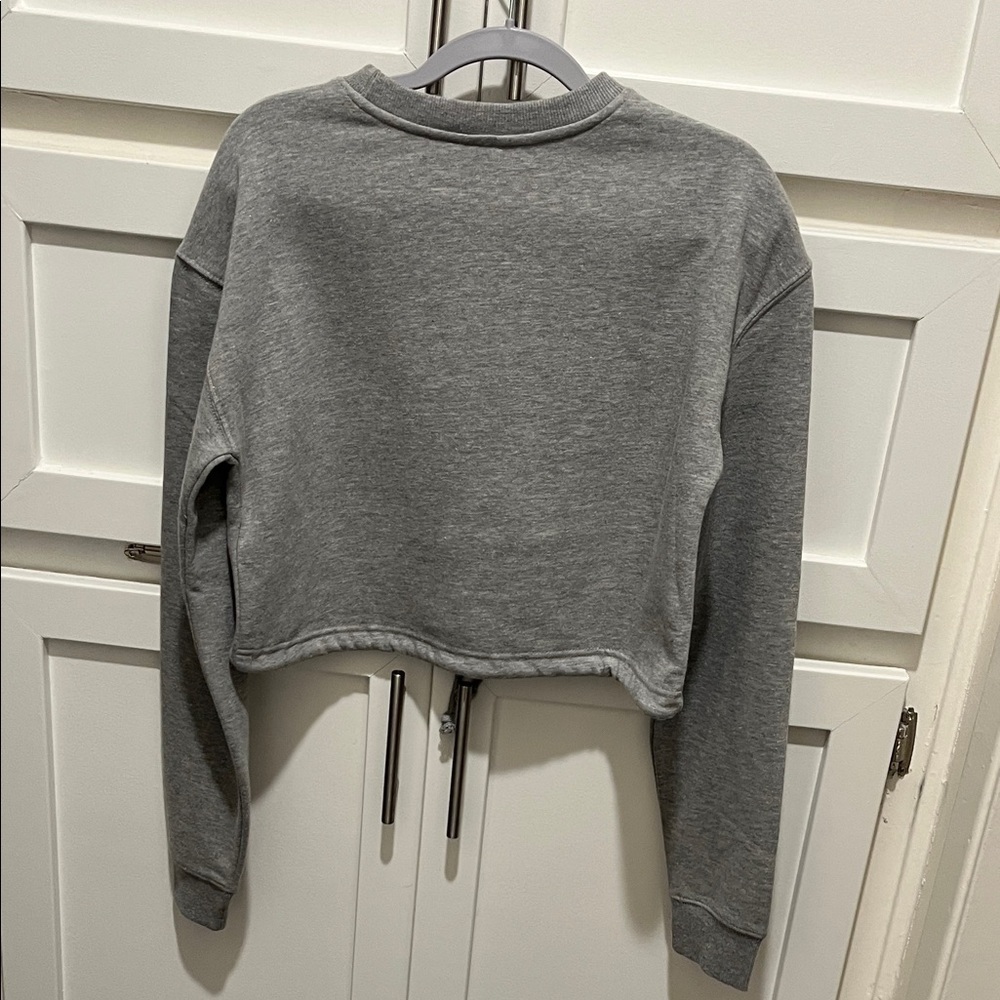 Gray Cropped Sweatshirt - Picture 3 of 3
